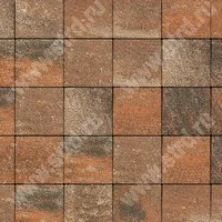 Тротуарная плитка Квадрат практик 60 Железный камень (Stein Ferro) верхний прокрас на белом / сером цементе основа - серый цемент 100*100*60мм Steingot