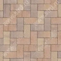 Тротуарная плитка Прямоугольник Color Mix Прайд верхний прокрас на белом / сером цементе основа - серый цемент 200*100*60мм BRAER