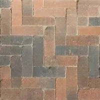 Тротуарная плитка Паркет (состаренный) Облепиховый (ultra тип 2) верхний прокрас на белом / сером цементе основа - серый цемент 210*70*60мм Одинцовское ДРСУ