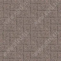 Тротуарная плитка Прямоугольник практик 60 (фаска 1,5мм) Кофейный (Bruno) верхний прокрас на белом цементе основа - серый цемент 200*100*60мм Steingot